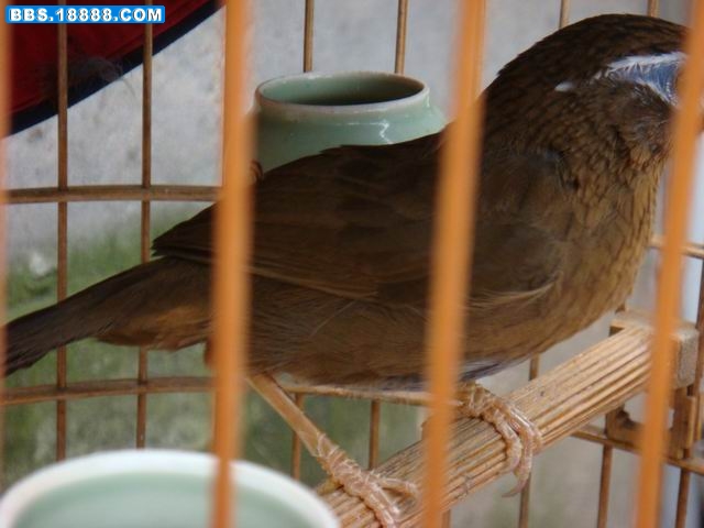 调整大小 DSC01414.JPG