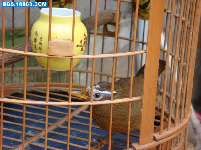 调整大小 DSC01380.JPG