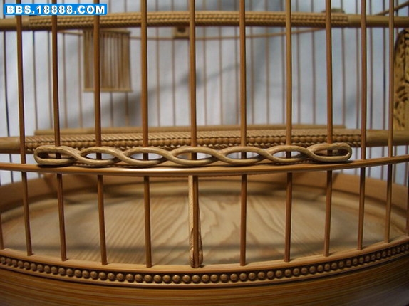 CIMG5372_缩小大小.jpg