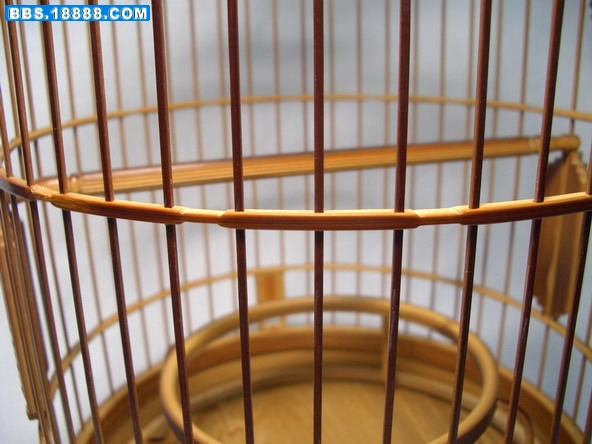 CIMG5717_缩小大小.jpg