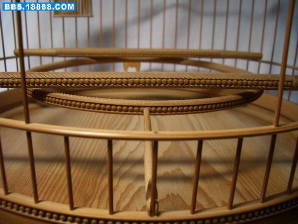 CIMG5382_缩小大小.jpg