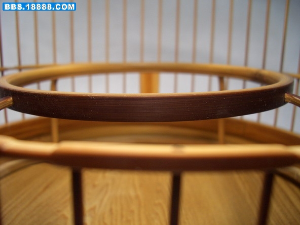 CIMG5728_缩小大小.JPG
