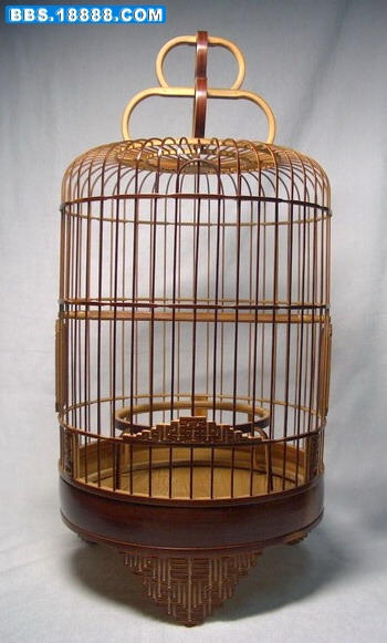 CIMG5710_缩小大小.jpg