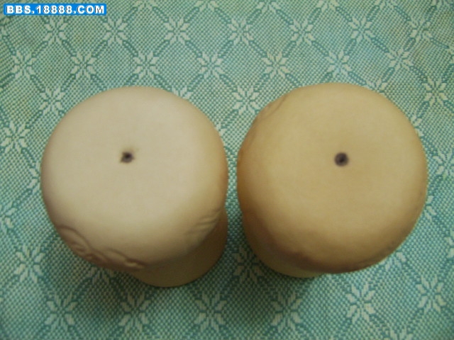 SV106347.JPG