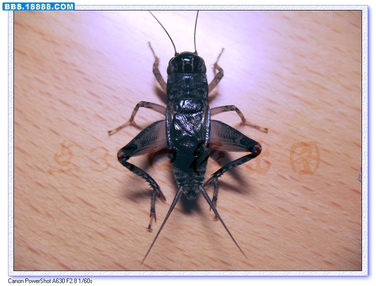 nEO_IMG_照片 006.jpg
