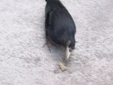 100_0063.jpg