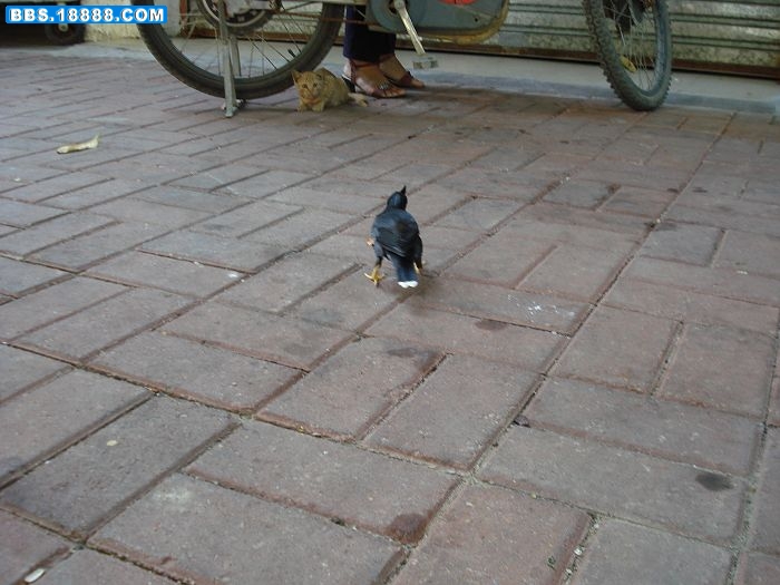 DSC00315.JPG