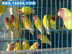20081001429.jpg