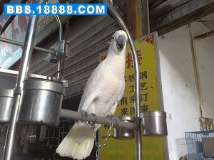 20081001427.jpg