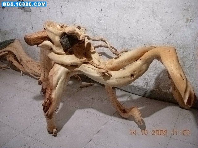 DSCN2605.jpg