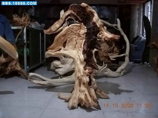 DSCN2609.jpg