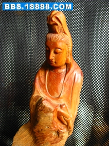 观5.jpg