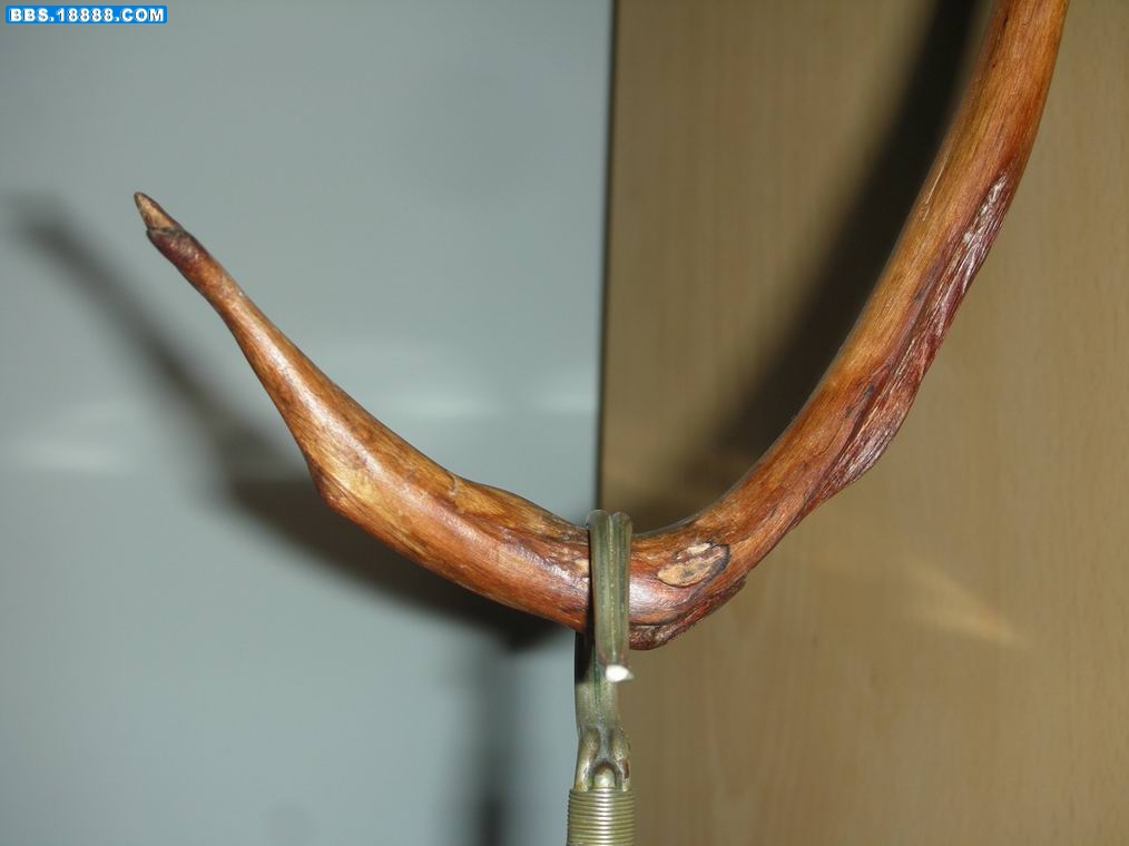 DSCN3899.JPG