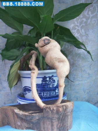照片 407.jpg