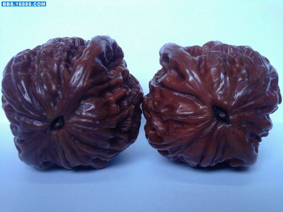 照片-0014.jpg