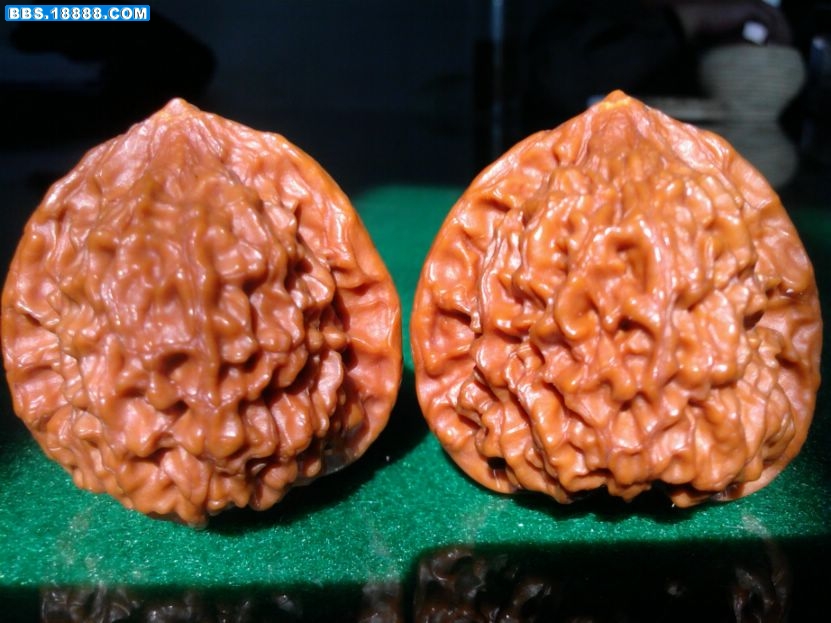 照片-0004.jpg