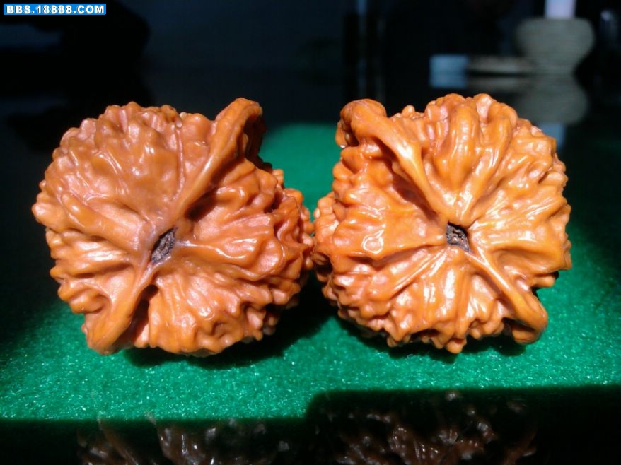 照片-0008.jpg