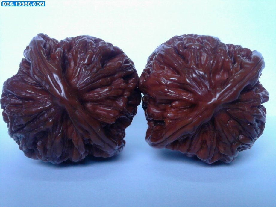 照片-0015.jpg