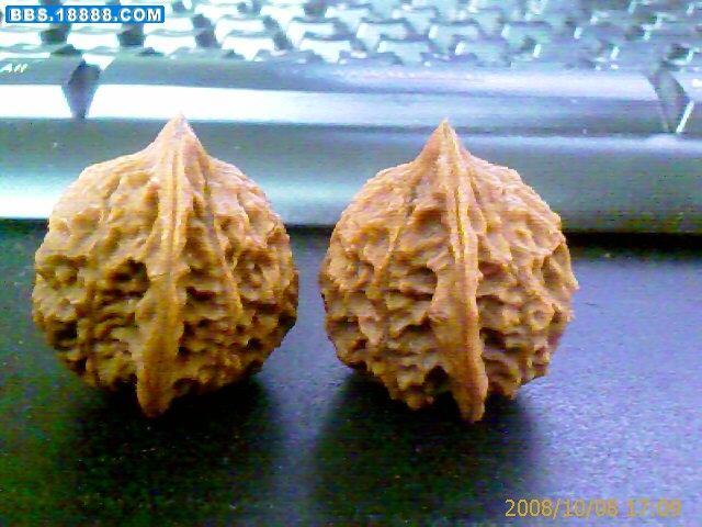 IMAGE_00087.jpg