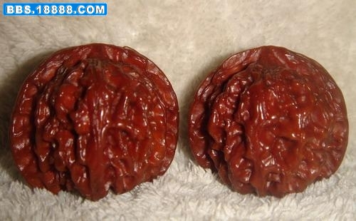 215_10958_2094fcb939abbef.jpg