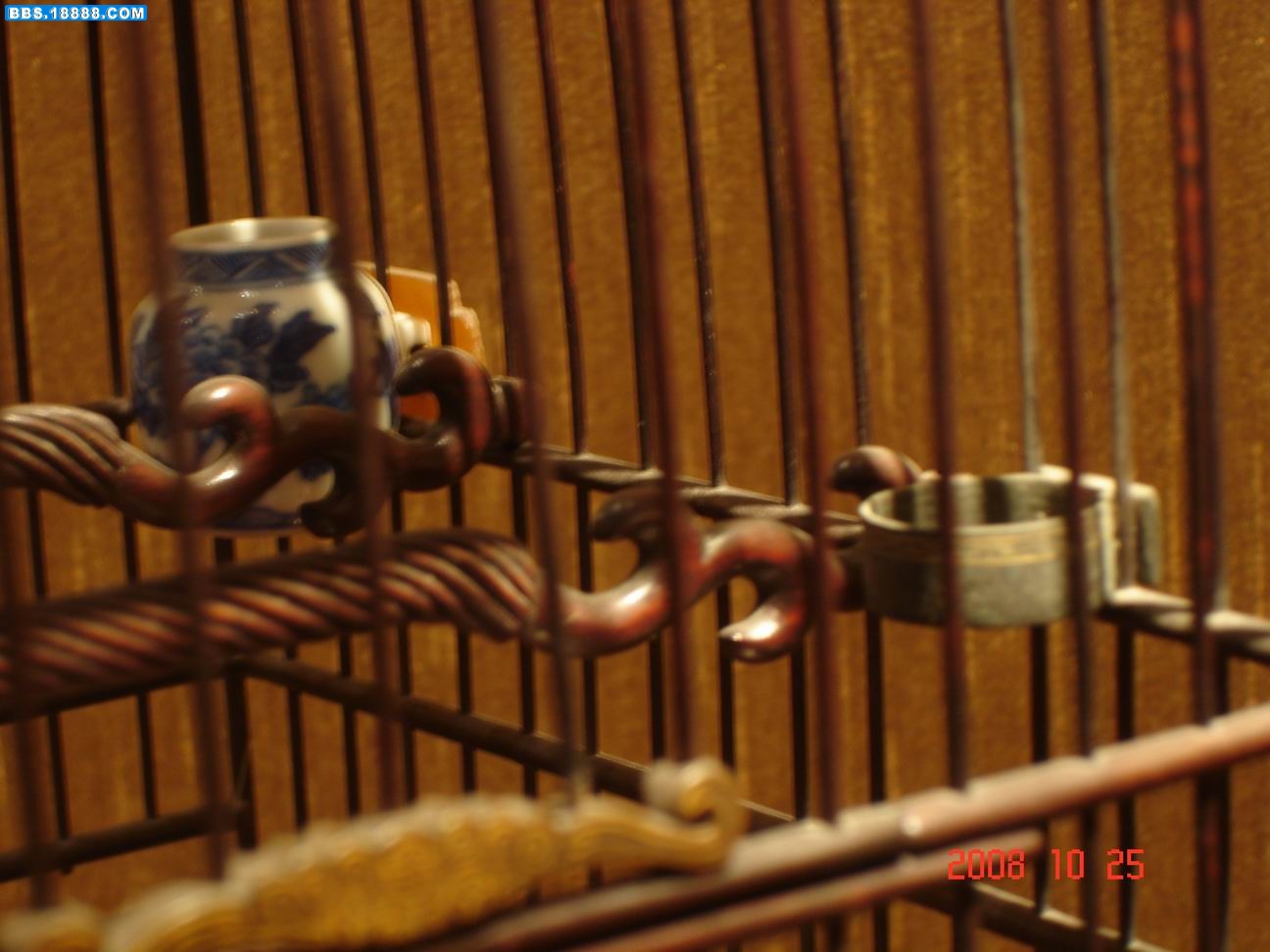 DSC03643.JPG