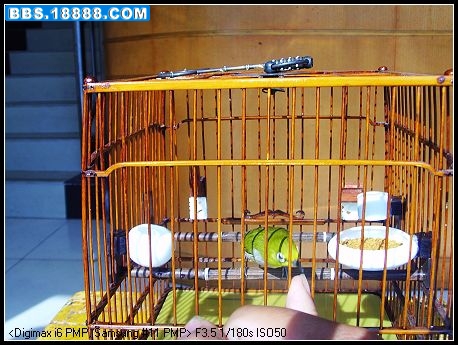 SSL20181.jpg