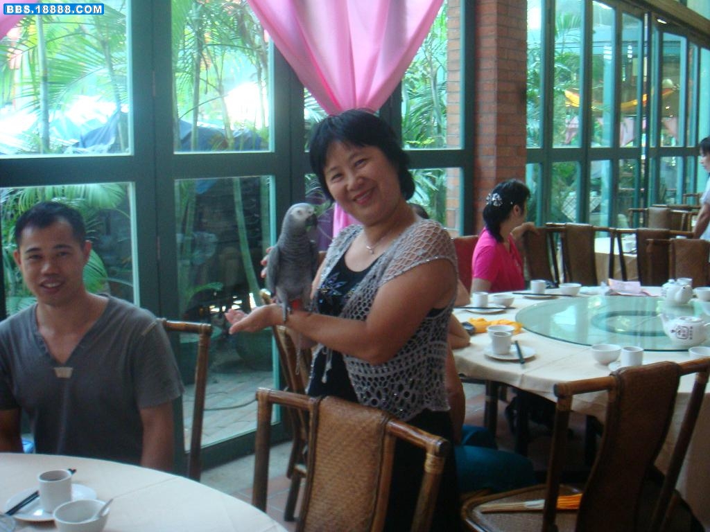 DSC01003.JPG