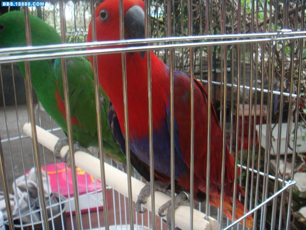 DSC00936.JPG