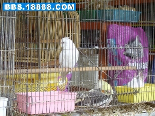 PICT0775.JPG