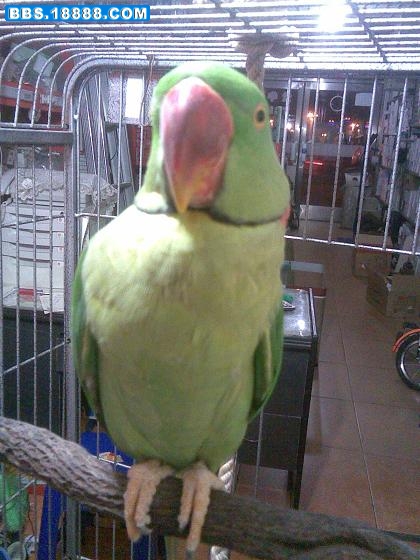 20081026(012).jpg