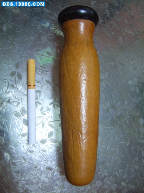 SV106204.JPG