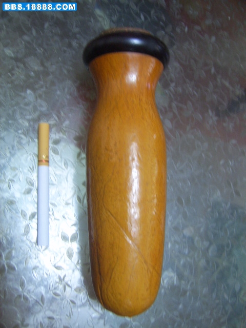 SV106219.JPG