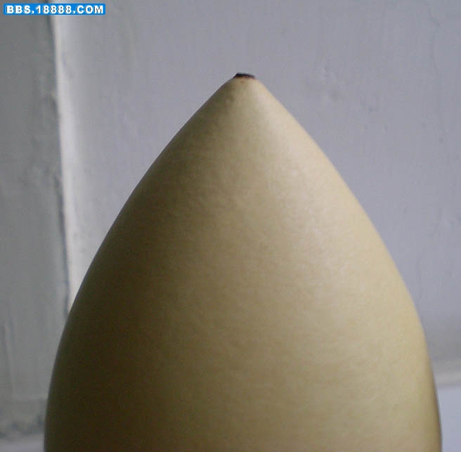 照片 1054.jpg
