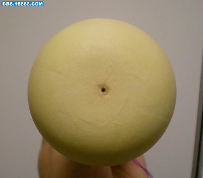 照片 980.jpg