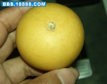 CIMG0007.JPG