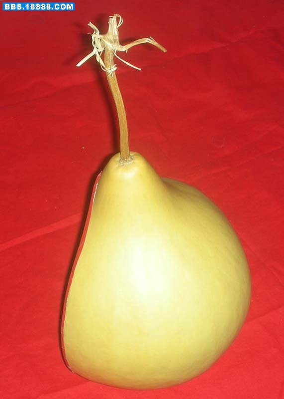 DSCN4055.jpg