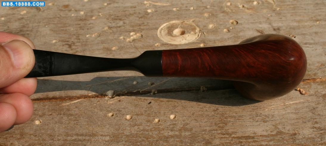 bari5.JPG