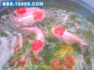 IMG0101B.jpg