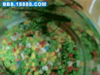 SP_A0086.jpg