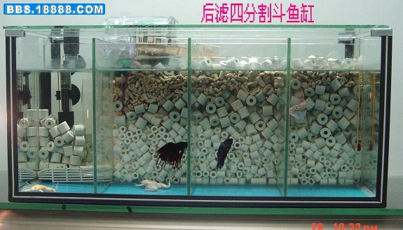 斗鱼缸.jpg