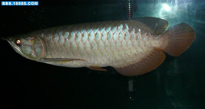 P1110002.JPG