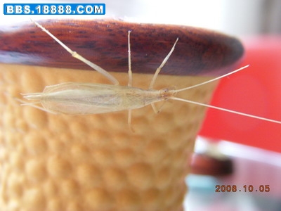 DSCN0456_调整大小.jpg