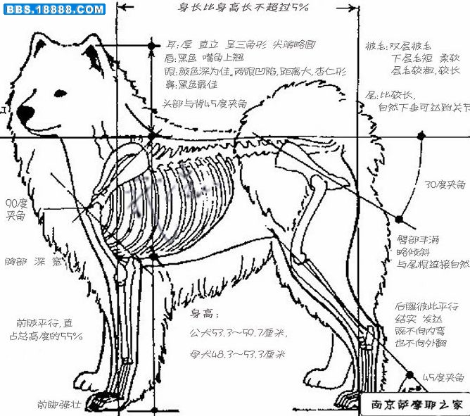 萨结构1副本.jpg