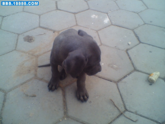 img0172.jpg
