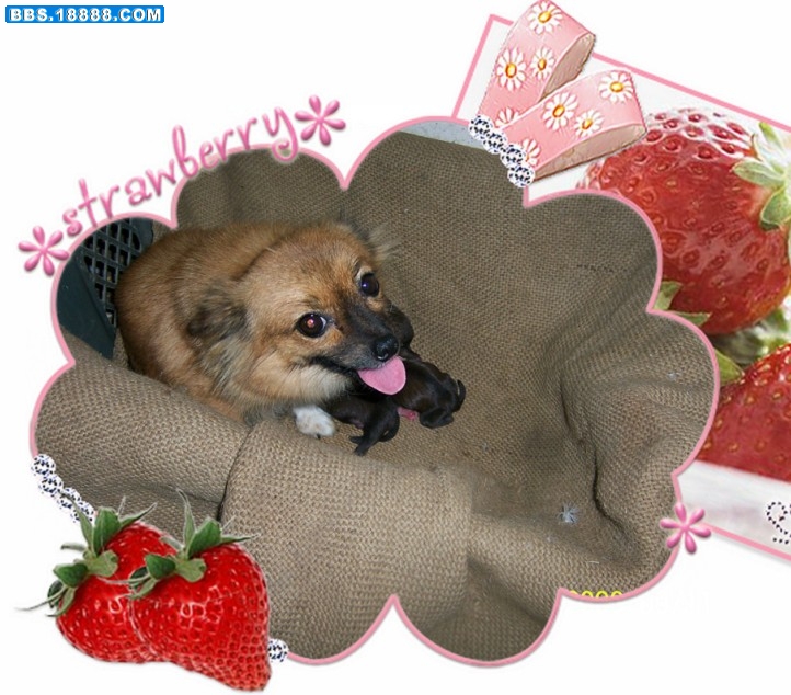 未命名1.jpg