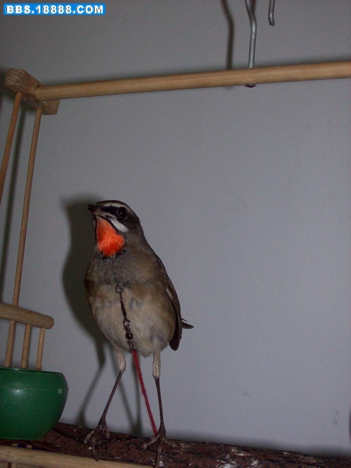000_0011.JPG