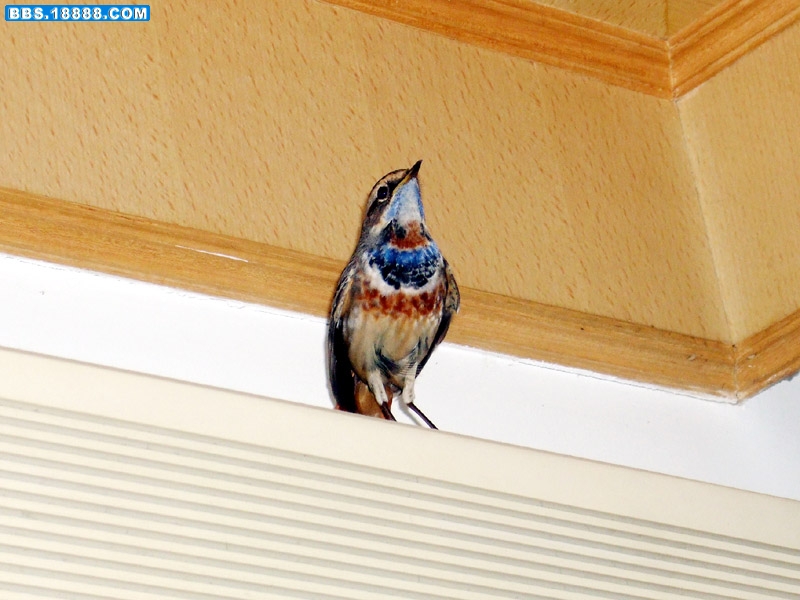 DSCF0418.jpg
