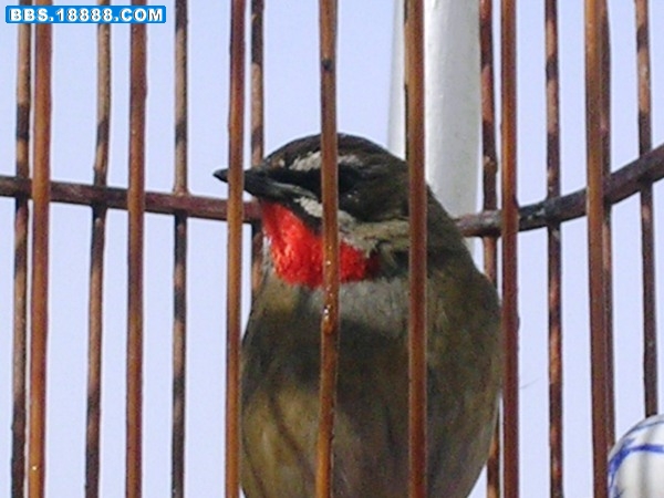 DSCN5557.JPG