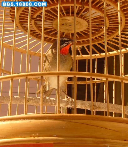 S5300165.jpg