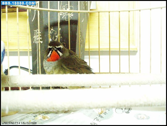 PA280228_nEO_IMG.jpg